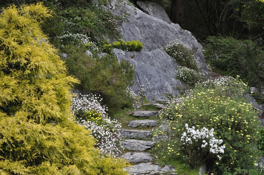 Shepherds Lodge B&B Killarney Exterior foto