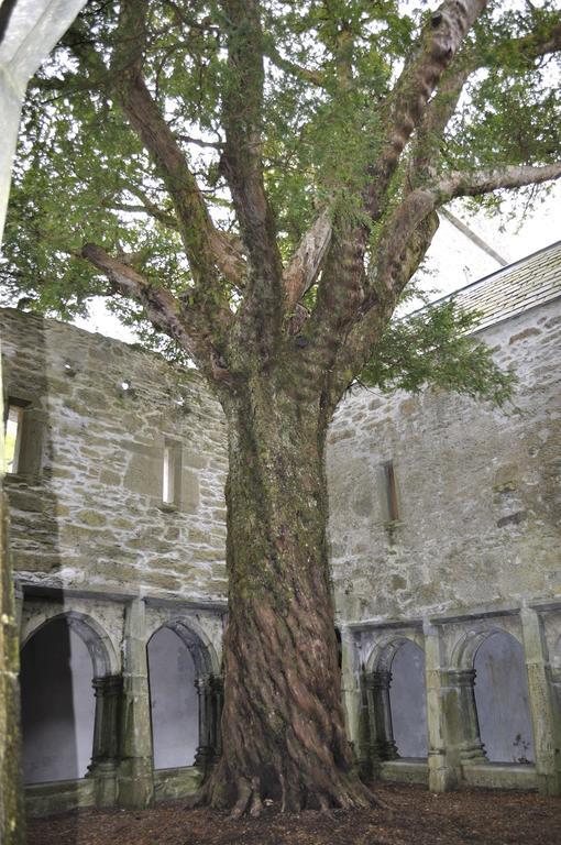 Shepherds Lodge B&B Killarney Exterior foto